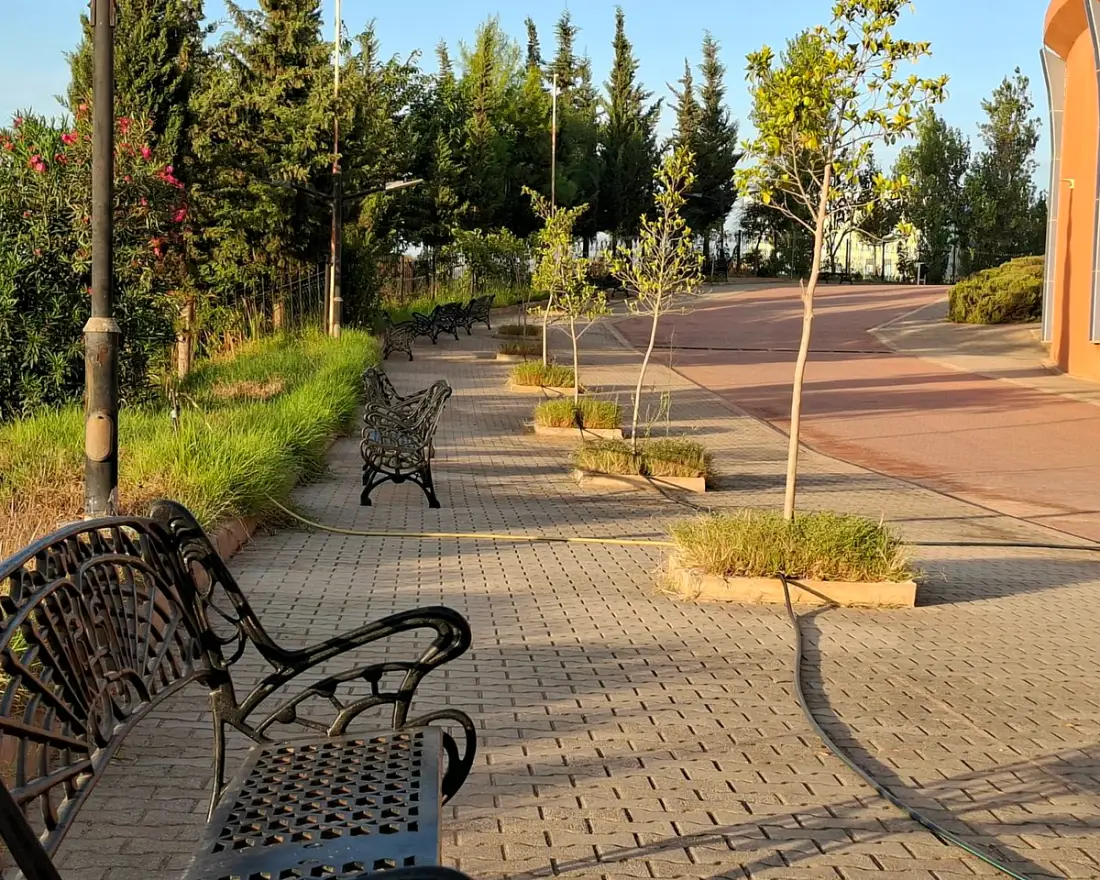 Benches and young trees along a campus path