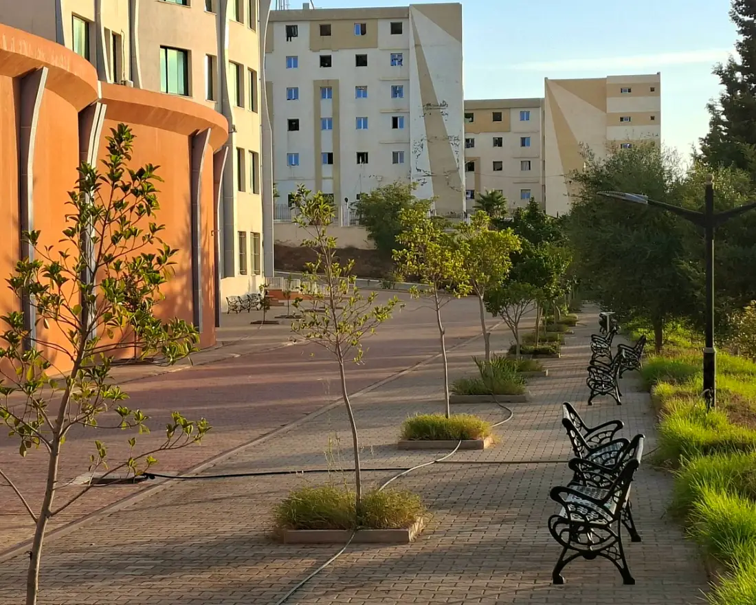 A walkway lined with benches and young trees along the campus buildings