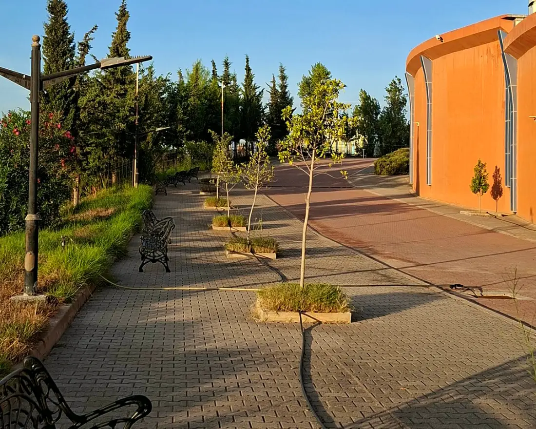 A tree-lined campus walk near the lecture theatre
